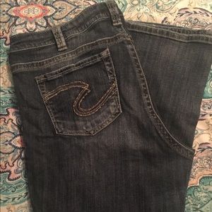 Woman’s Silver Plus Size Jeans
